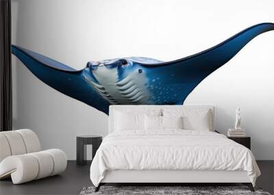 Manta Ray on white or transparent background  Wall mural