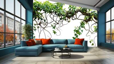 Twisted jungle vines tropical rainforest liana pla on transparent or white background Wall mural