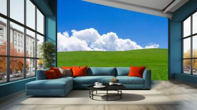 Green hill and white fluffy cloud over it Wall mural