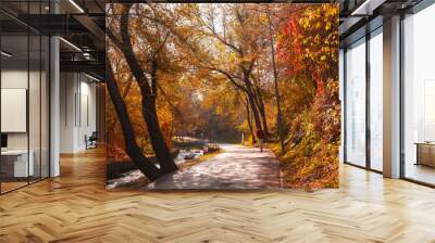 Terrenkur walking trail in autumn, Almaty city, Kazakhstan Wall mural