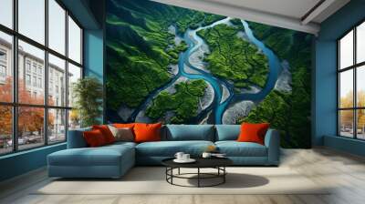 Aerial view of winding rivers and lush valleys, showcasing the earth's intricate beauty. Wall mural