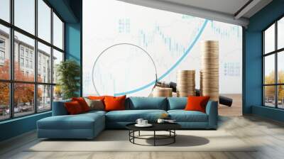 Financial growth and successful investment. Money, magnifier and many charts. Wall mural