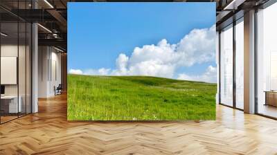 green field and blue sky Wall mural