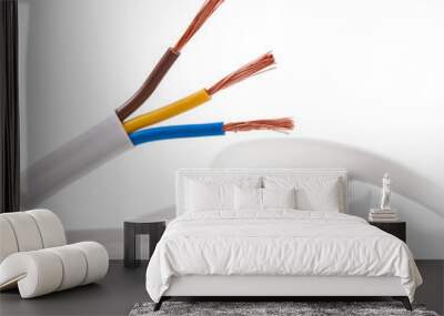 electric cable on a white background Wall mural