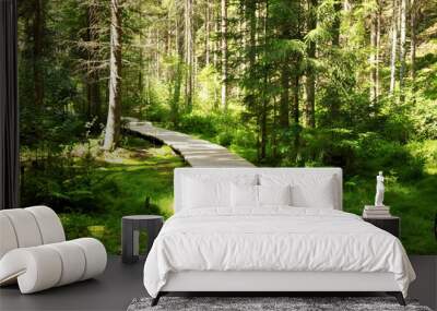 forest path Wall mural