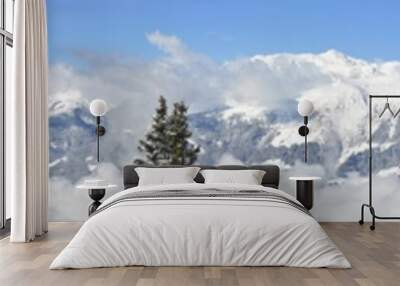 Winter panorama Wall mural