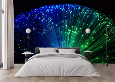 Blue and green optical fiber cables with shining tips on a black background Wall mural