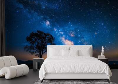 A starry night sky with the Milky Way Wall mural