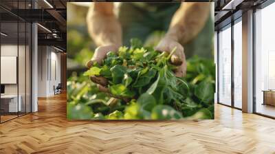 Eco-Friendly Gardener Examining Compost Bin in Home Garden â€“ Sustainable Composting Practice Wall mural