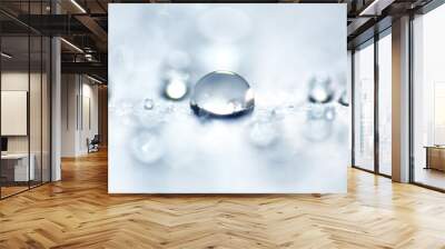 Macro shot of water on repellent surface Wall mural