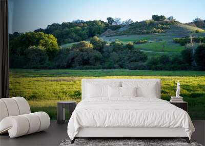 Near to evening in Hill with strongly sunshine Wall mural