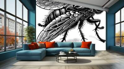 Housefly realistic vector black silhouette design for T-Shirt Wall mural