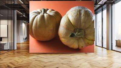 Close-up of two whole ripe pumpkin on an orange background  with shadow of a pumpkin on the surface. Wall mural