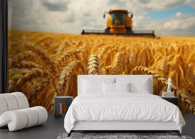 Close-up of golden wheat ready for harvest with combine harvester in the background Wall mural