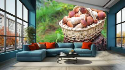 Basket with ceps Wall mural