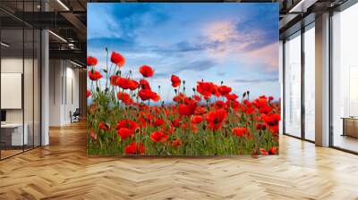 Amazing poppy field landscape against colorful sky Wall mural