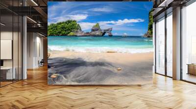 Big Panorama of idyllic tropical beach with small island and perfect azure clean water Wall mural