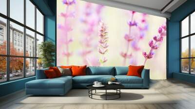 Floral background - summer wild flowers in nature, panoramic view of macro Wall mural