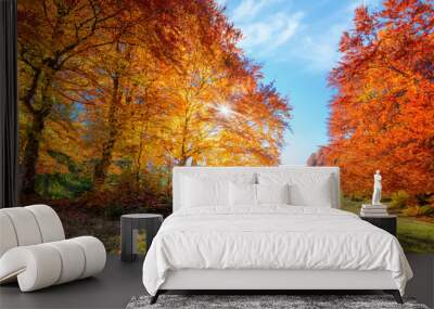 Landscape of Autumnal forest with real sun and orange trees on meadow Wall mural