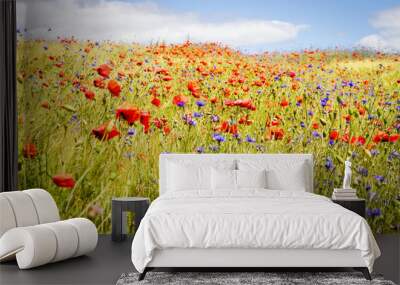 Blooming cornflower in rye field Wall mural