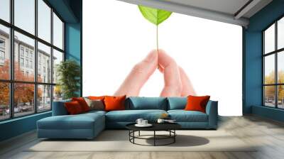 Green leaf in hand Wall mural