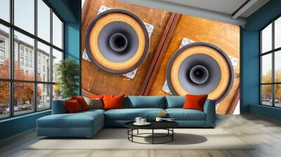 Two vintage speakers with full range drivers Wall mural