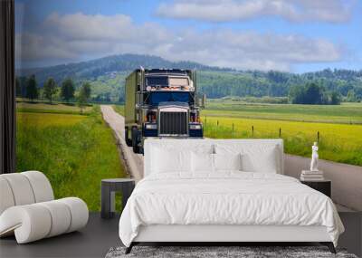 Classic American Truck Semi Trailer on Rural Road Trucking Through Summer Scenery Wall mural