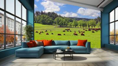 Hereford cattle summer grazing in lush green pasture under beautiful sky in the Finnish countryside. Wall mural