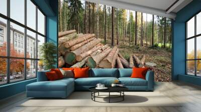 timber logging in forest Wall mural