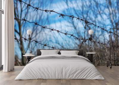 barbed wire border Wall mural