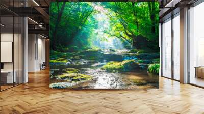 Kikuchi valley, waterfall and ray in forest, Japan Wall mural