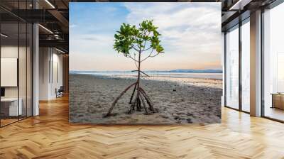 Mangrove tree on twilight time Wall mural