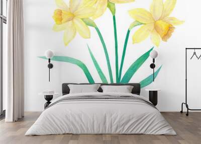 Spring bouquet of bright yellow daffodils or narcissus and leaves. Three flowers. Hand drawn watercolor illustration. Isolated on white background. Wall mural