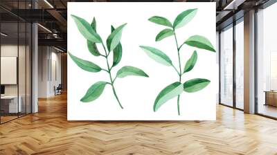 Two fresh green branches isolated on white. Watercolor elements	 Wall mural