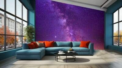 Milky Way over the pond, cosmic landscape Wall mural