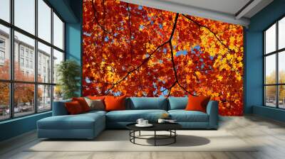 Autumn leaves around Lake Yamanaka Wall mural