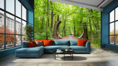 road in the primeval beech forest, hainich national park, germany Wall mural