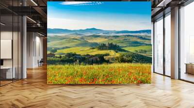 Beautiful landscape of hilly Tuscany in summer sunny morning Wall mural