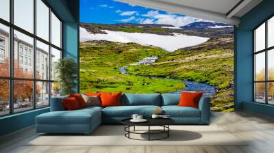 View of green field of grass with the stream flowing from melting ice Wall mural