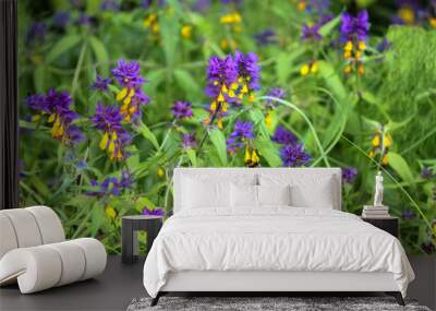 blue flowers in the garden Wall mural