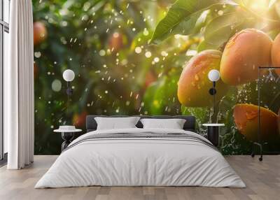 summer fruit mango hanging on a tree with water droplet generated by AI Wall mural