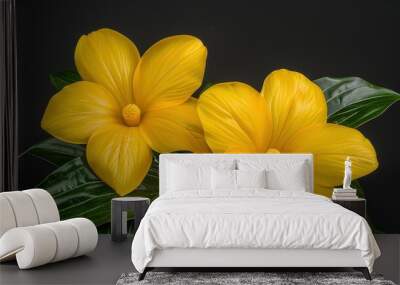 Two Bright Yellow Flowers with Green Leaves on a Black Background Wall mural