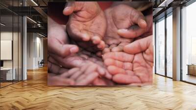 Hands, palm and diversity of people in circle for charity, ngo and support in poor community together from above. Helping hand, donation and empathy for children in poverty, society and crowdfunding Wall mural