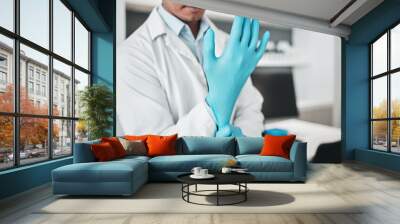 Hands, science and gloves for healthcare with a person in a laboratory for research or innovation closeup. Safety, medical and a scientist in a lab for analysis, development or discovery in medicine Wall mural