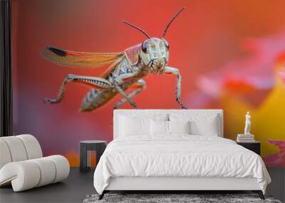 A Macro View of a Brown and Red Grasshopper in Flight Wall mural