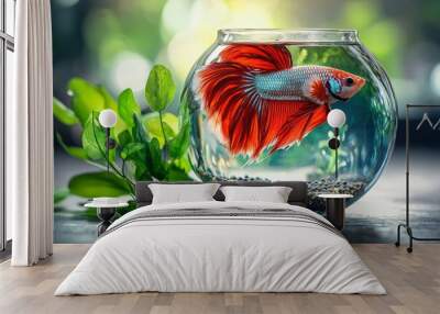 A Vibrant Red Betta Fish in a Glass Bowl with Gravel and Green Foliage Wall mural