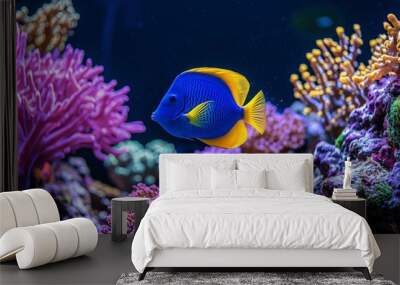 Blue and Yellow Angelfish Swimming Near Coral Reef Wall mural