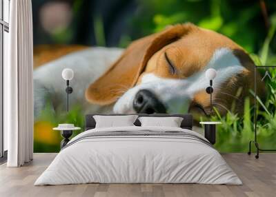 Close-up of a Sleeping Beagle Puppy in Grass Wall mural