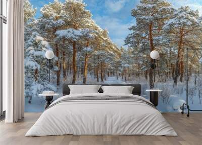 Snow-Covered Pine Forest Path Wall mural