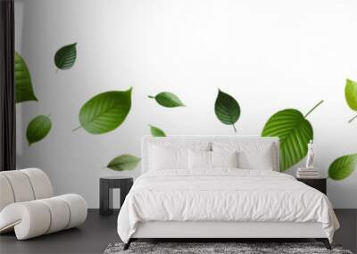 Green flying leaves seamless border. Green leaves wave .Falling fresh leaf . Foliage green leaves ornament . Elements for eco friendly,bio,vegan logo .Realistic green leaf . Wall mural